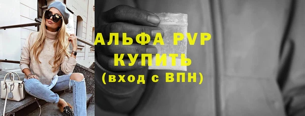 сатива Верея
