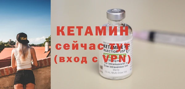 сатива Верея