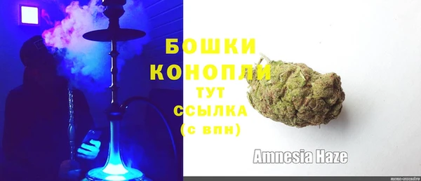 сатива Верея