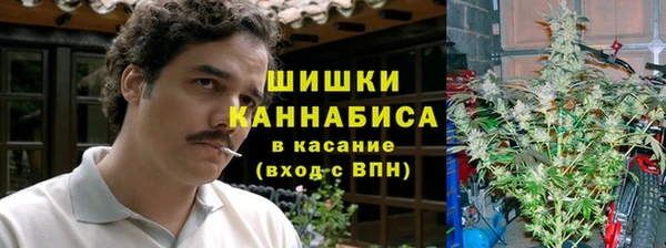 сатива Верея