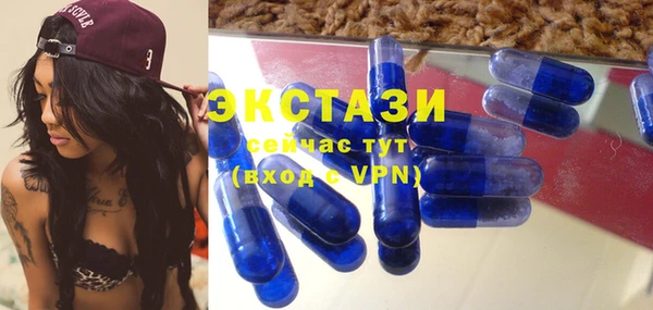 сатива Верея