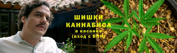 сатива Верея