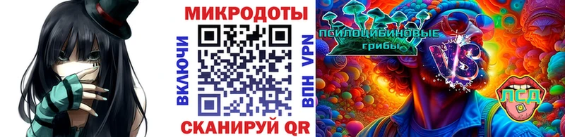 Псилоцибиновые грибы мицелий  Ковылкино 
